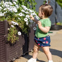 Children's Museum of Acadiana - Child discovers our soil based garden in Harmony Park.