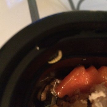 3 Chef's - Apparently a worm comes with an order of General Tso's chicken. I do not recommend this establishment. - Chinese Near Me - Miami, Florida 3 Chef's - Apparently a worm comes with an order of General Tso's chicken. I do not recommend this establishment. - Chinese Near Me - Miami, Florida