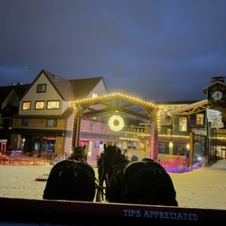 Park City Sleigh Rides - Horses