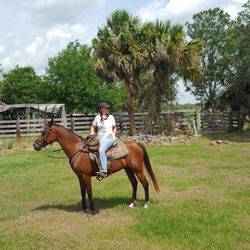 Angel's Appy Acres
