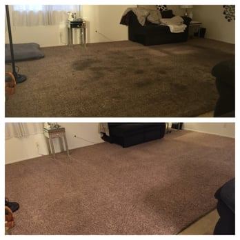 National Multi Steam - Before and after. No more pet stains and dirt! - Carpet Cleaning Near Me - Napa, California National Multi Steam - Before and after. No more pet stains and dirt! - Carpet Cleaning Near Me - Napa, California