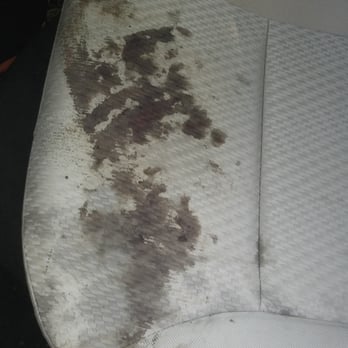 Altamonte Mall Pet Hospital - DO NOT GO HERE! This is the seat of my new car after the vet trimmed my dogs nails. They EXPECT your pets paws to bleed excessively after - Veterinarians Near Me - Altamonte Springs, Florida