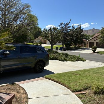 HLI Tree Experts - Great job hli tree service. Leo and his team are very professional people and know how to take care of their customers. - Tree Services Near Me