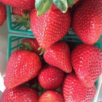Hayashi Vegetable Stand - 3 baskets of strawberries, perfectly ripe - $7 - May 2019 - Fruits & Veggies Near Me - Oceano, California