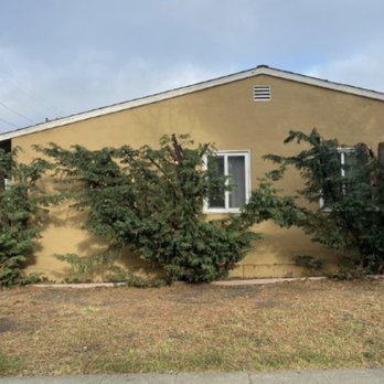 JMV Tree Service - After trimming - Tree Services Near Me - Hayward, California JMV Tree Service - After trimming - Tree Services Near Me - Hayward, California