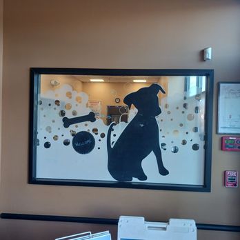 PetSmart - Entrance looking into grooming area - Pet Training Near Me - Scarborough, Maine