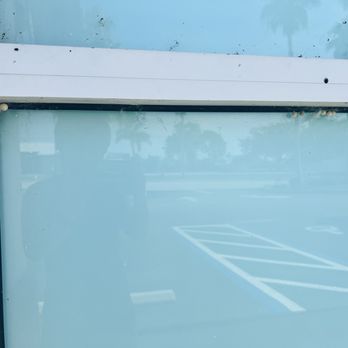 CVS Pharmacy - Spider eggs and webs. Windows need cleaning! - Drugstores Near Me - CAPE CORAL, Florida CVS Pharmacy - Spider eggs and webs. Windows need cleaning! - Drugstores Near Me - CAPE CORAL, Florida