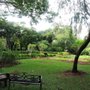 Photo of Foster Botanical Garden