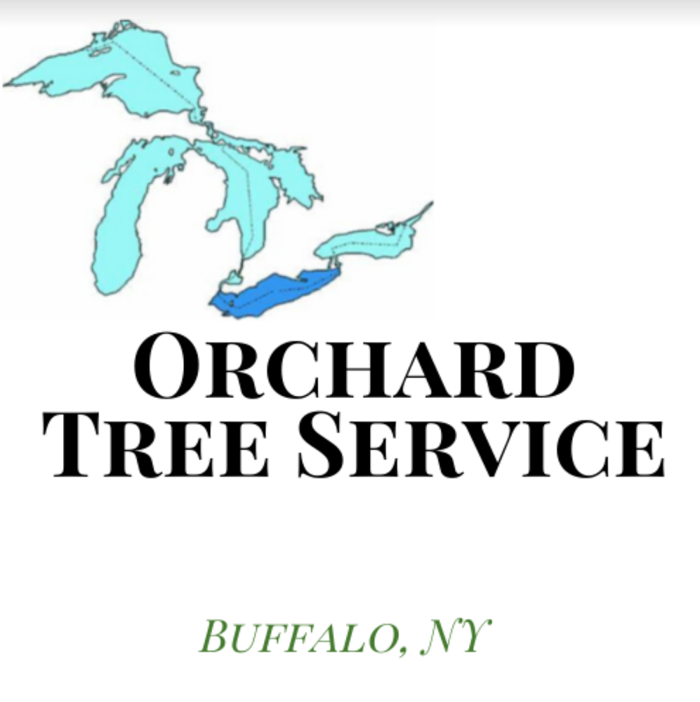 Orchard Tree Service - tree service in Buffalo, NY