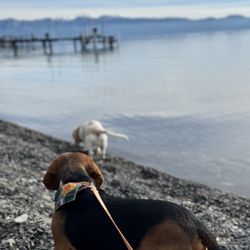 Patton Beach