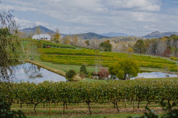 Crane Creek Vineyards by null
