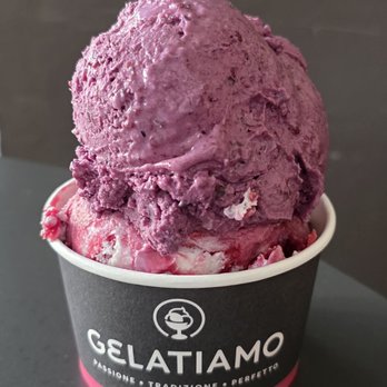 Gelatiamo - Blueberry Lavendar and Marionberry gelato - Bakeries Near Me - Seattle, Washington Gelatiamo - Blueberry Lavendar and Marionberry gelato - Bakeries Near Me - Seattle, Washington