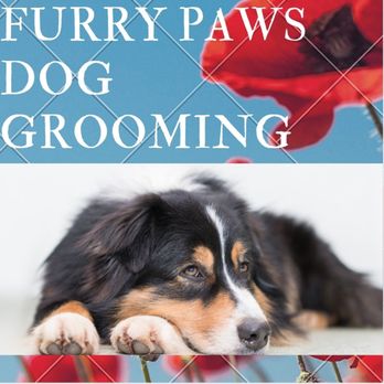 furry paws mobile grooming