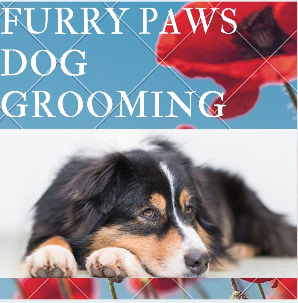 FURRY PAWS MOBILE GROOMING Updated October 2024 Parker, Colorado