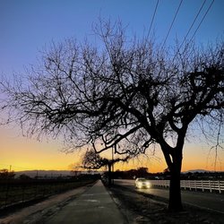 Holdener Park