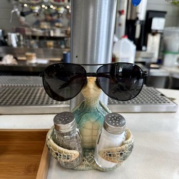 Tur - One of the many turtles in the restaurant - Breakfast & Brunch Near Me - San Francisco, California Tur - One of the many turtles in the restaurant - Breakfast & Brunch Near Me - San Francisco, California