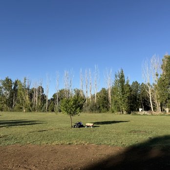 Equinox Tree Service - Before - Tree Services Near Me Equinox Tree Service - Before - Tree Services Near Me