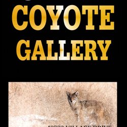 Wild Coyote Gallery - A local gallery owned and staffed by local artists. Have a question? Ask the artist.