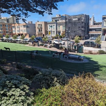 Francisco Park - Dog park! - Dog Parks Near Me - San Francisco, California