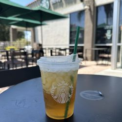 STARBUCKS - Iced Green Tea 8-26-24