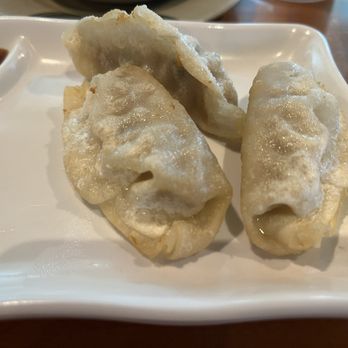 Albany Wasabi - Gyoza - Sushi Bars Near Me - Albany, New York Albany Wasabi - Gyoza - Sushi Bars Near Me - Albany, New York