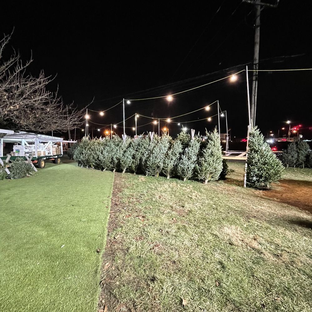 Crofton Southbound Produce - a row of christmas trees - Fruits & Veggies Near Me - Gambrills, Maryland Crofton Southbound Produce - a row of christmas trees - Fruits & Veggies Near Me - Gambrills, Maryland
