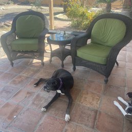 Sweet, comfortable and snazzy patio chairs and table, put immediately to use. Best $150 spent this month!