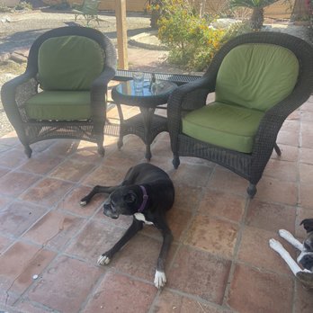 Revivals - Cathedral City - Sweet, comfortable and snazzy patio chairs and table, put immediately to use. Best $150 spent this month! - Thrift Stores Near Me - Cathedral City, California