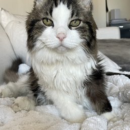 Puddie- my angel. Puddie- my angel.