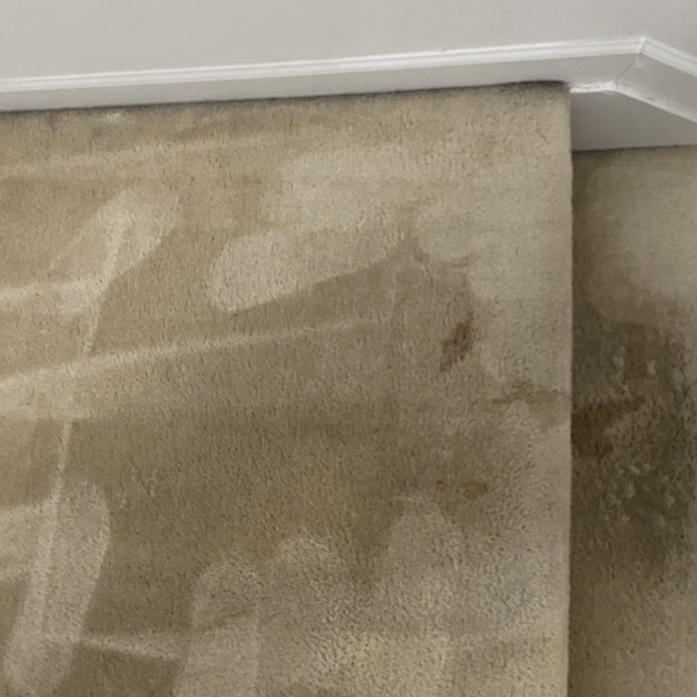 We Clean Carpet - Stains still there and awful smell still burns our nose - Carpet Cleaning Near Me