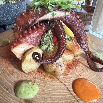 Alma Rosa - Octopus with mojo and fingerling potatoes - Mexican Near Me - Miami, Florida
