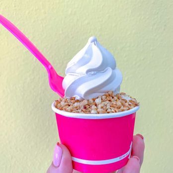 D'lites Emporium - Toasted Coconut Ice Cream - Ice Cream & Frozen Yogurt Near Me - Tampa, Florida