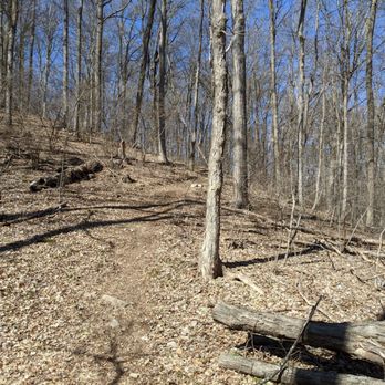 Slabtown Creek Park - Parks Near Me - Hardwick Township, New Jersey