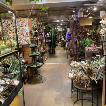 Nicholson-Hardie - Nurseries & Gardening Near Me - Dallas, Texas Nicholson-Hardie - Nurseries & Gardening Near Me - Dallas, Texas