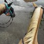 Photo of Cotton Top Horse Rentals