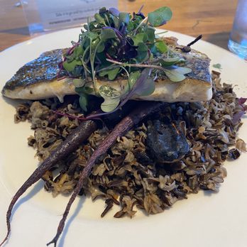 Bluewater Grill - Sea bass - Seafood Near Me - Santa Barbara, California