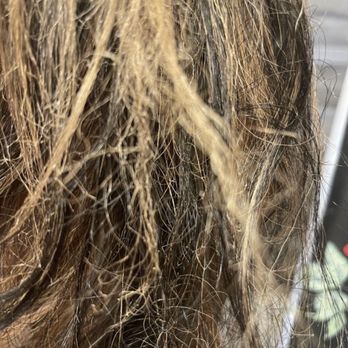 QT Salon - What I got burnt hair - Hair Salons Near Me - Westminster, California QT Salon - What I got burnt hair - Hair Salons Near Me - Westminster, California