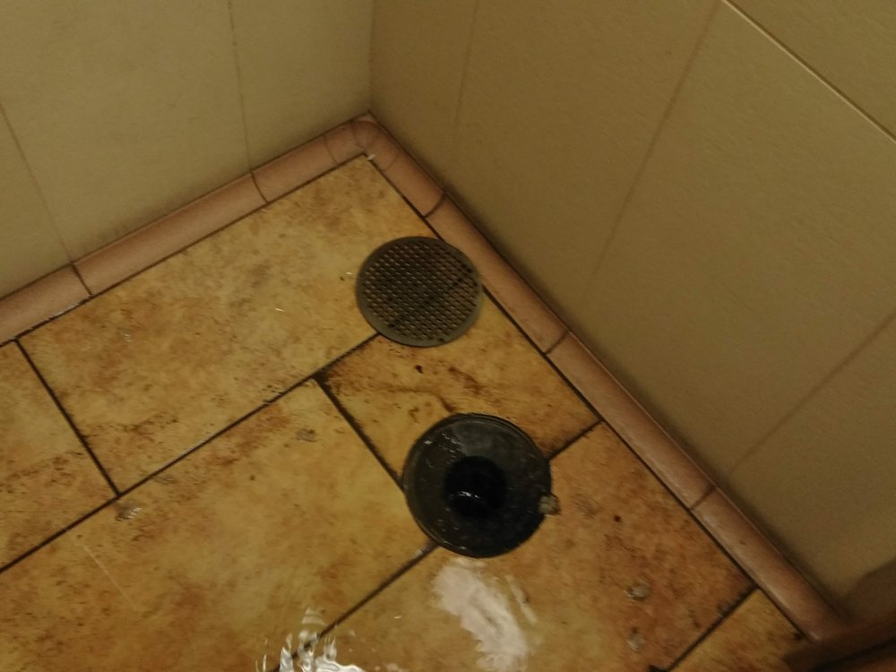 Slide of True Blue Plumbing