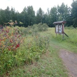 Clifford E Lee Nature Sanctuary
