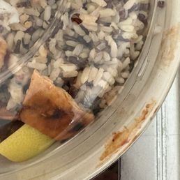 Live flies still moving around inside the food. Live flies still moving around inside the food.