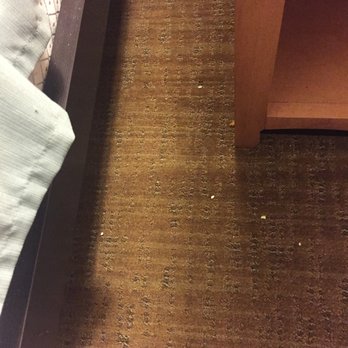 Canton Harvester Inn - Nor did they vacuum the room — popcorn on floor! - Hotels Near Me - Canton, Illinois Canton Harvester Inn - Nor did they vacuum the room — popcorn on floor! - Hotels Near Me - Canton, Illinois
