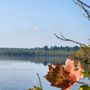 Photo of Beaver Lake Nature Center