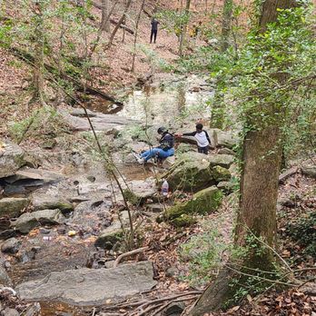 Cascade Springs Nature Preserve - Parks Near Me - Atlanta, Georgia Cascade Springs Nature Preserve - Parks Near Me - Atlanta, Georgia