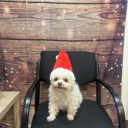 Santaaa clause Santaaa clause