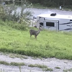 Ridge Runner Campground