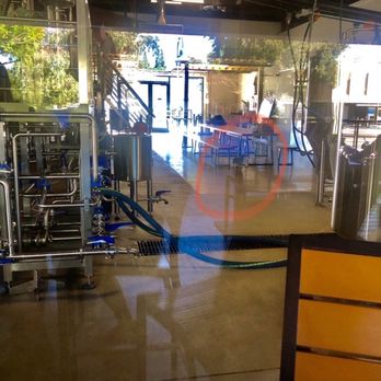 Tarantula Hill Brewing - An animal in the room where the beer is made. The waitress responded it's ok because it's the owners dog. - Breweries Near Me - Thousand Oaks, California