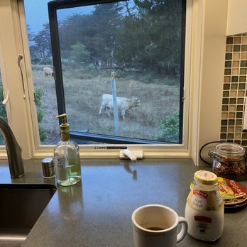 AppleGarden Cottage - Sweet morning views from the well appointed kitchenette! - Bed & Breakfast Near Me - Tomales, California