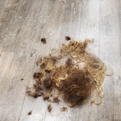 SmartStyle - Look at all that hair!