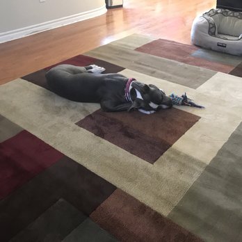 Send Rover On Over - Pet Training Near Me - Ventura, California Send Rover On Over - Pet Training Near Me - Ventura, California