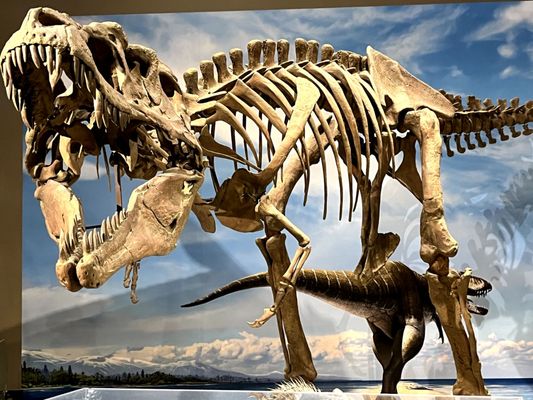 Natural History Museum of Utah by null